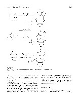 Bhagavan Medical Biochemistry 2001, page 656